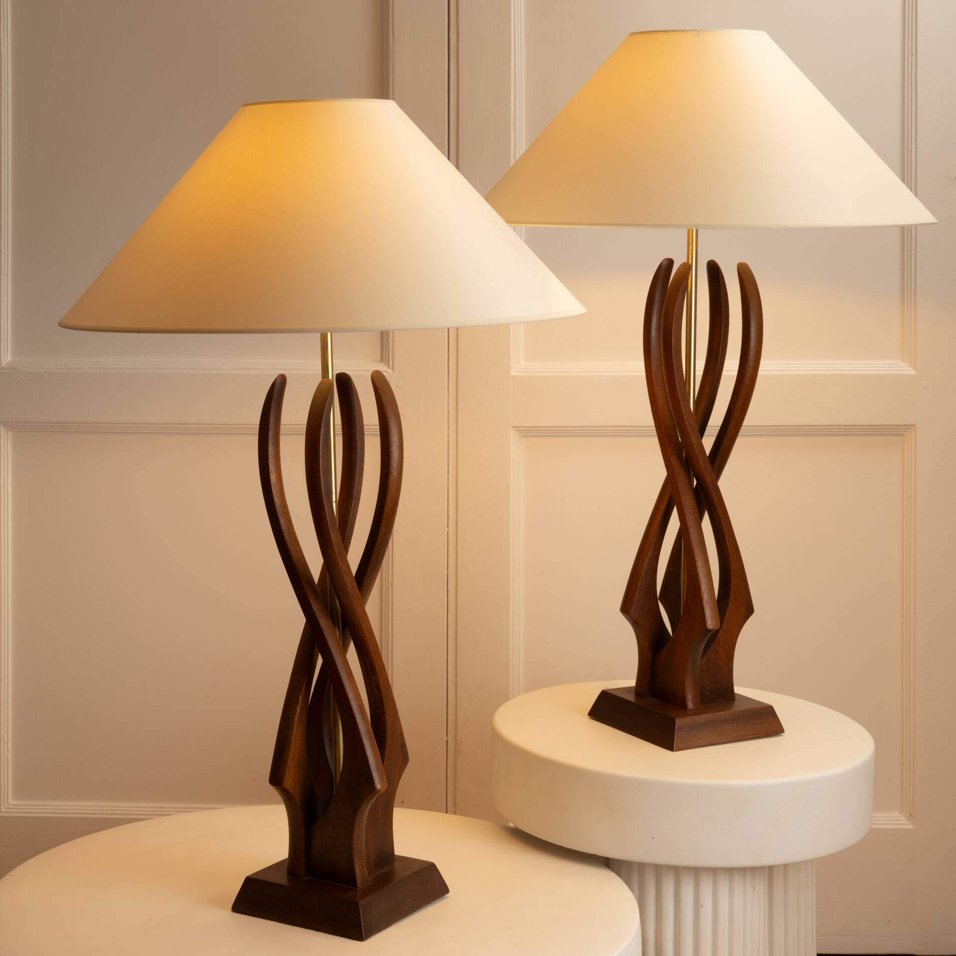 Paire de lampes organiques en bois - USA 1960