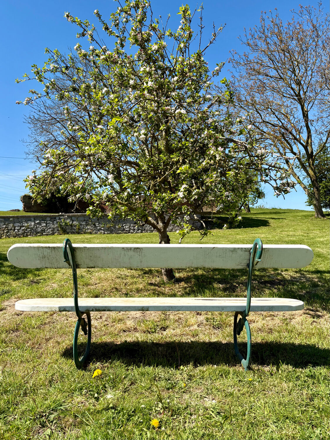 Banc de jardin ancien en bois et métal – esprit Art Nouveau, travail d