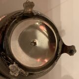 Massive silver cockroaches