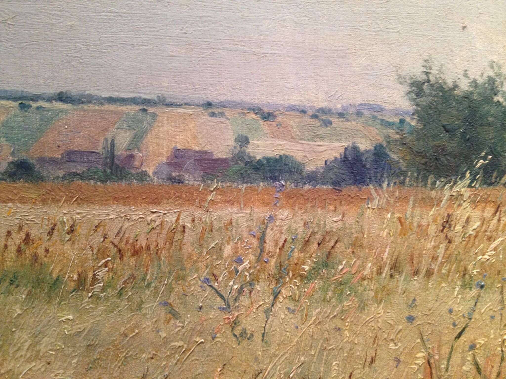 Table, rustic landscape of the year 1930