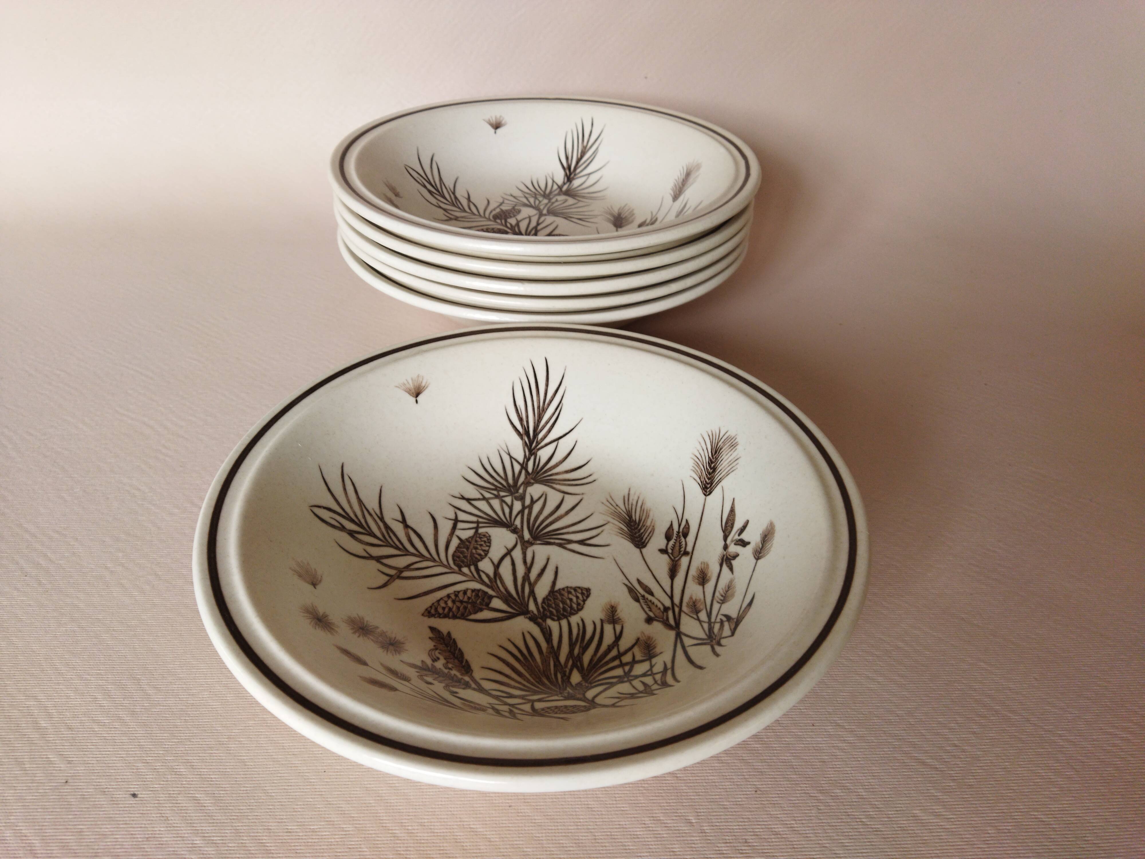 6 WH Grindley “Pinewood” soup plates