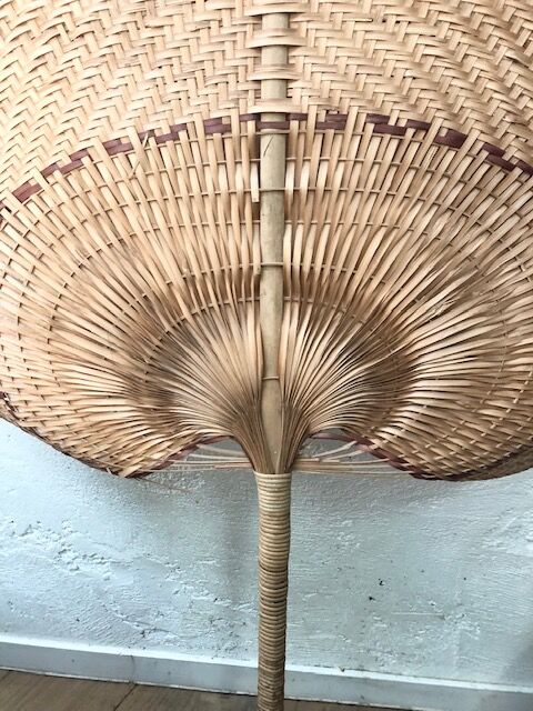 Wicker palm