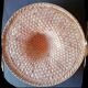 Asian wicker hat canna