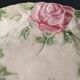 French antique plate decorated with roses in barbotine