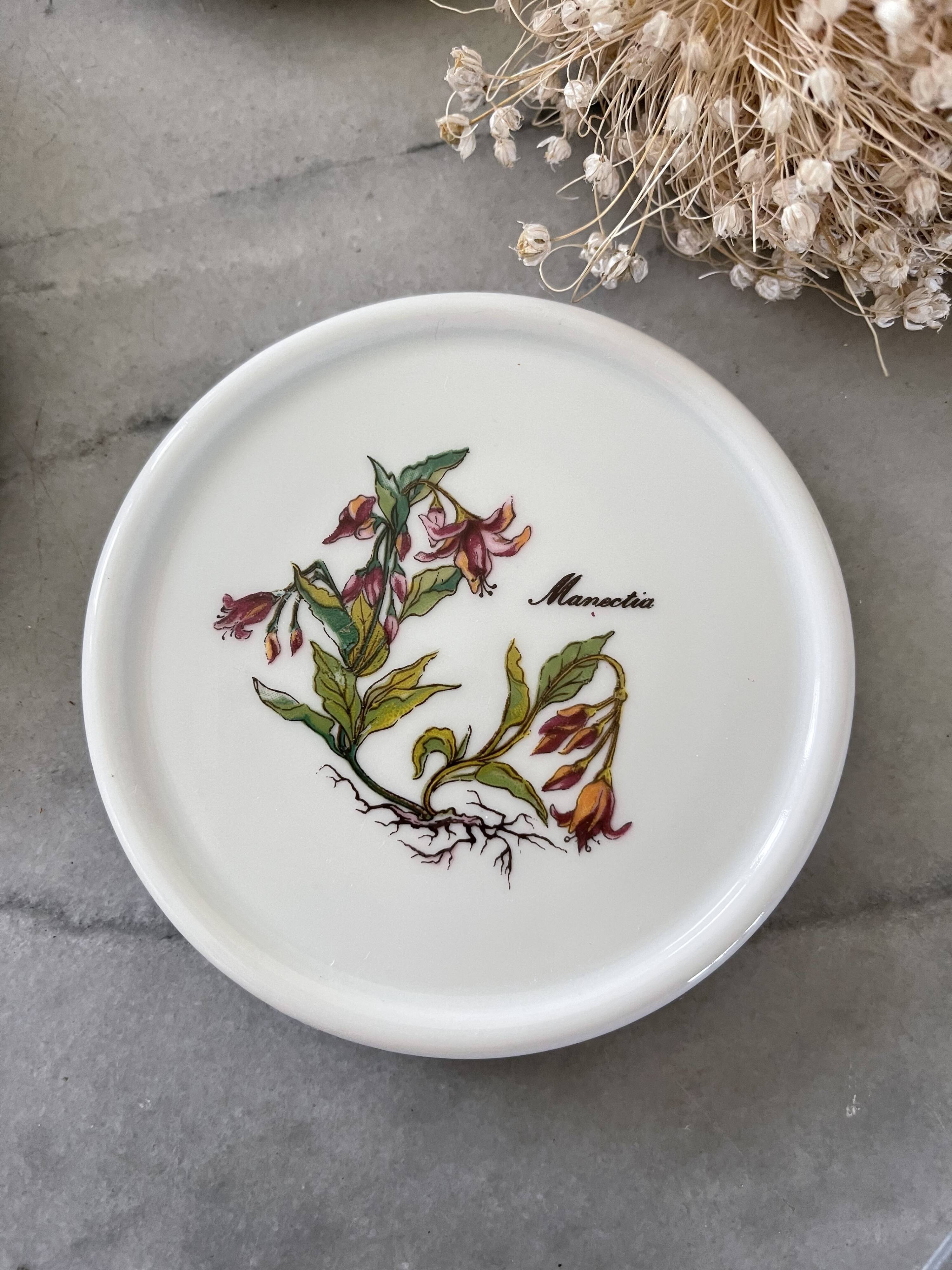 6 under glass porcelain 1970