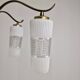 Italian Mid-Century Brass Chandelier with Murano Style Glass Shades, 1960's