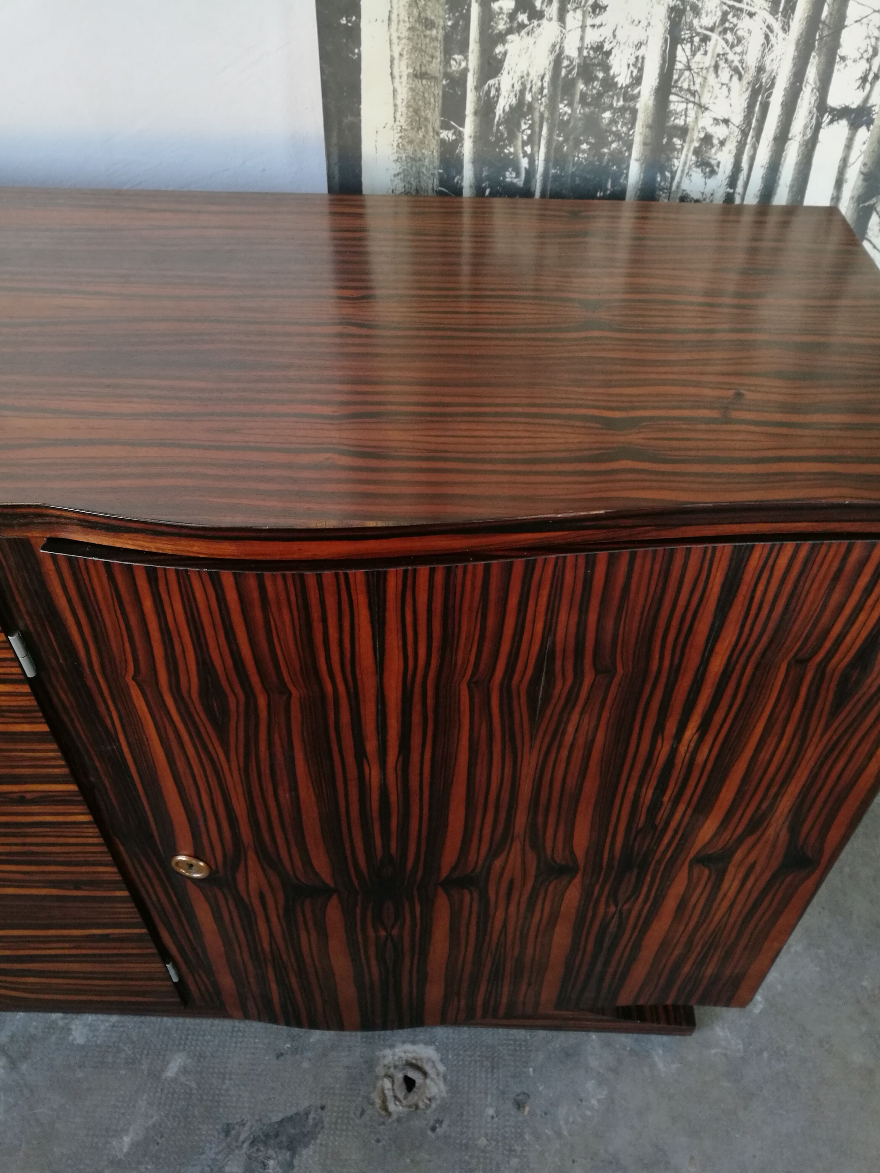 Sideboard in macassar ebony