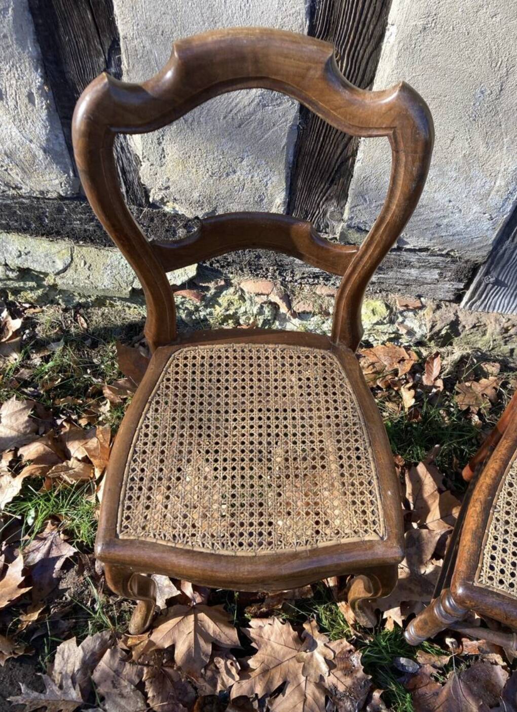 Paire de chaises rustiques cannées