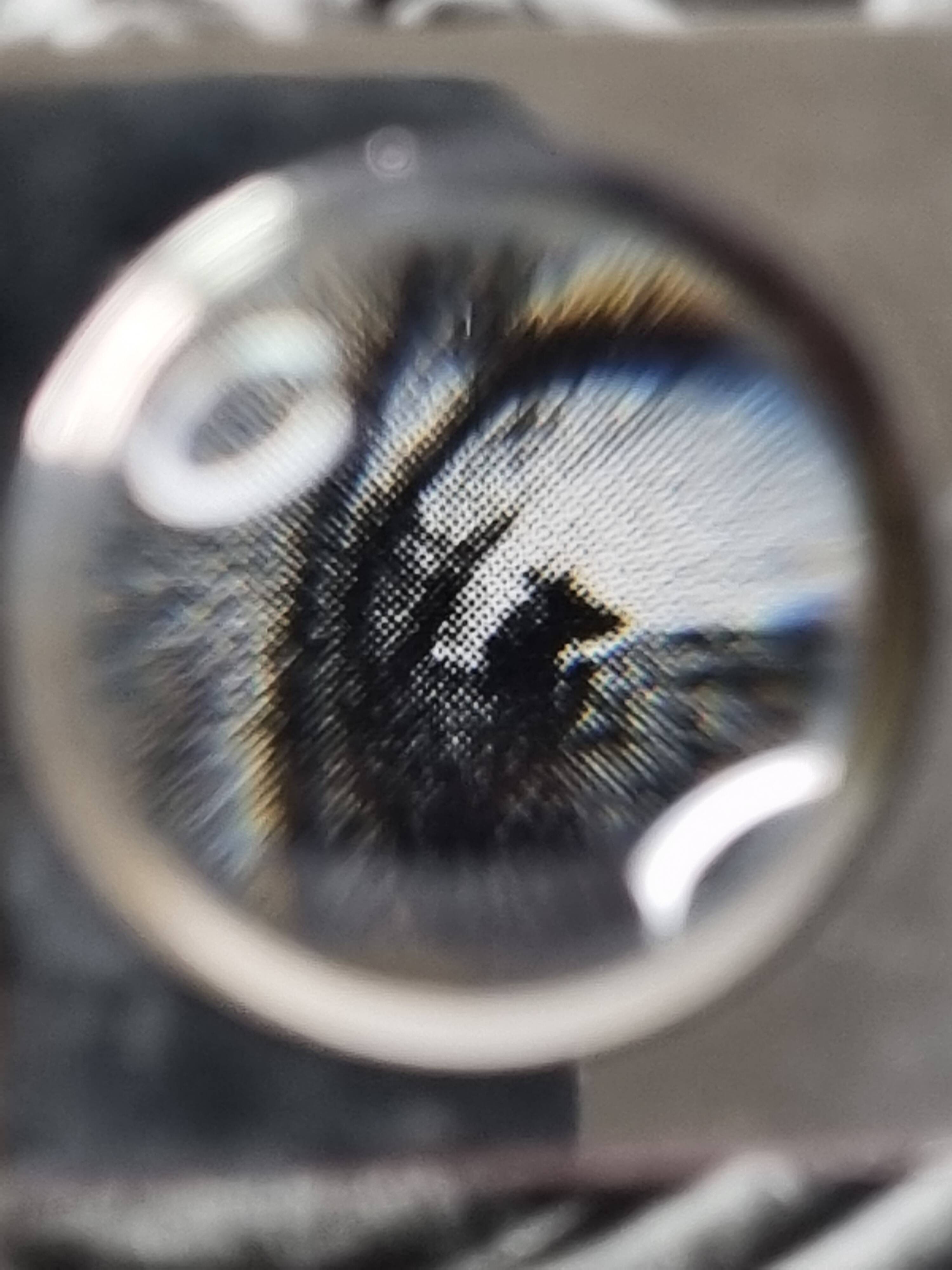 Offset edition in black and white "Genesis" after Sebastião Salgado, framed under glass, 30 x 38 cm