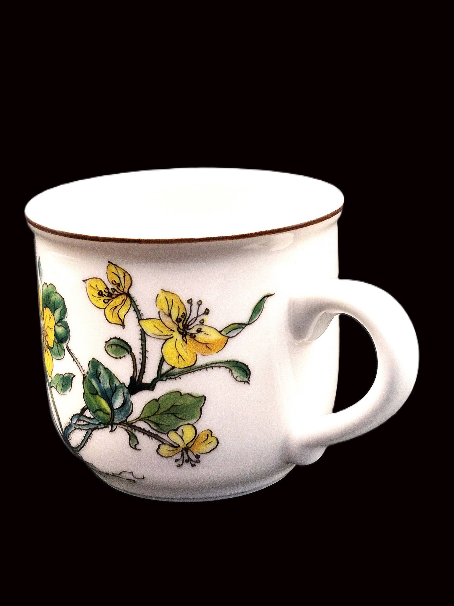 Set of 6 coffee cups and saucers Villeroy & Boch, vintage, Botanica