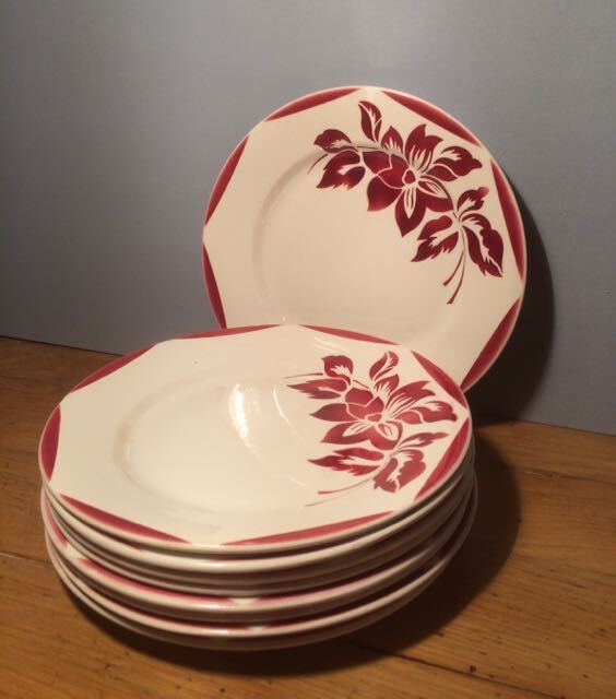 Set of 9 dinner plates Saarguemines