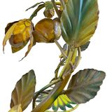Stylized floral lamp in painted sheet