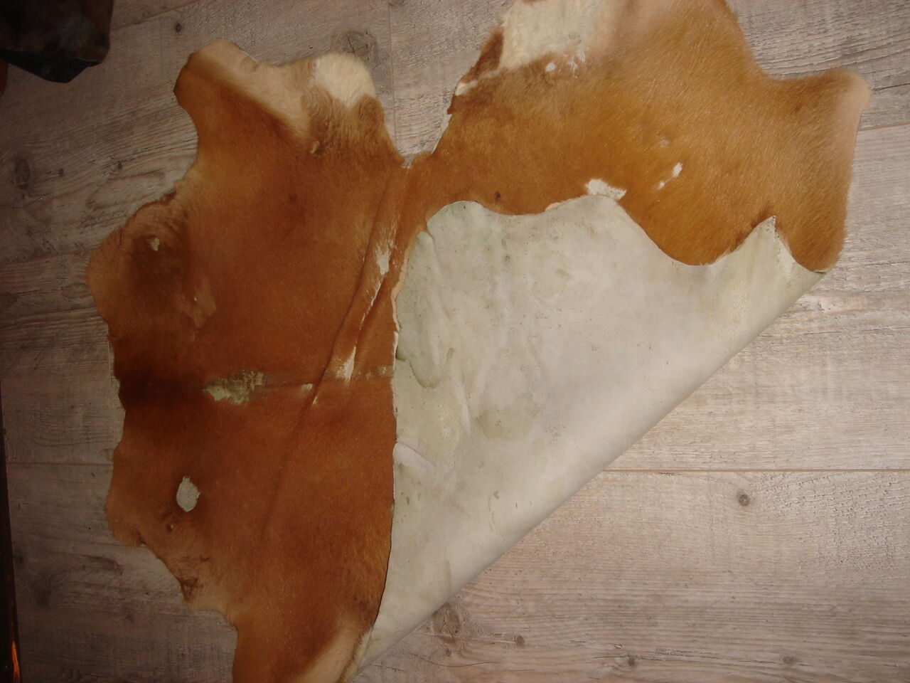 tanned goatskin of 1970, ideal descent of bed 40x34cm