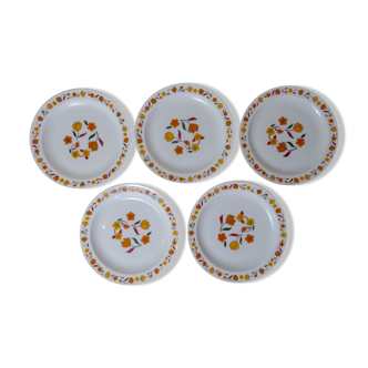 5 assiettes plates arcopal fleurs oranges