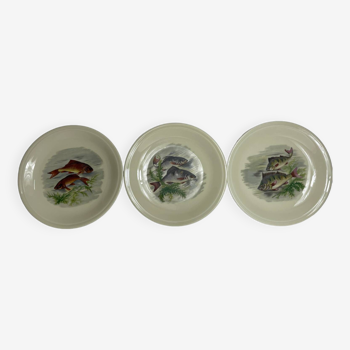 Ensemble raffiné de trois assiettes de collection à motifs de poissons - ancienne fabrique royale, limoges, france