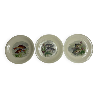 Refined set of three collector's plates with fish motifs - former royal factory, Limoges, France