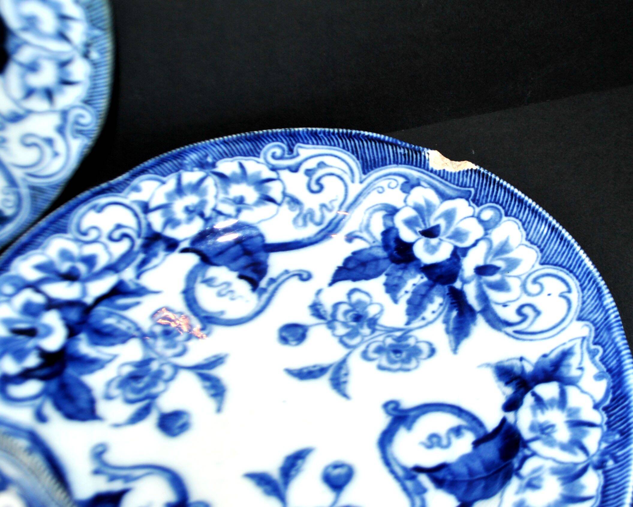 Lot de 6 assiettes Flora décor liseron bleu LM&cie 1840-1875 Creil Montereau