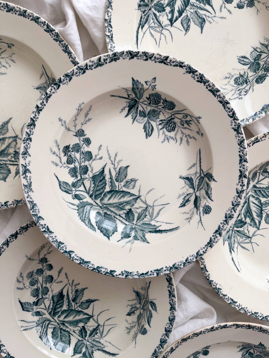 6 ironstone soup plates “Mûre” Badonviller