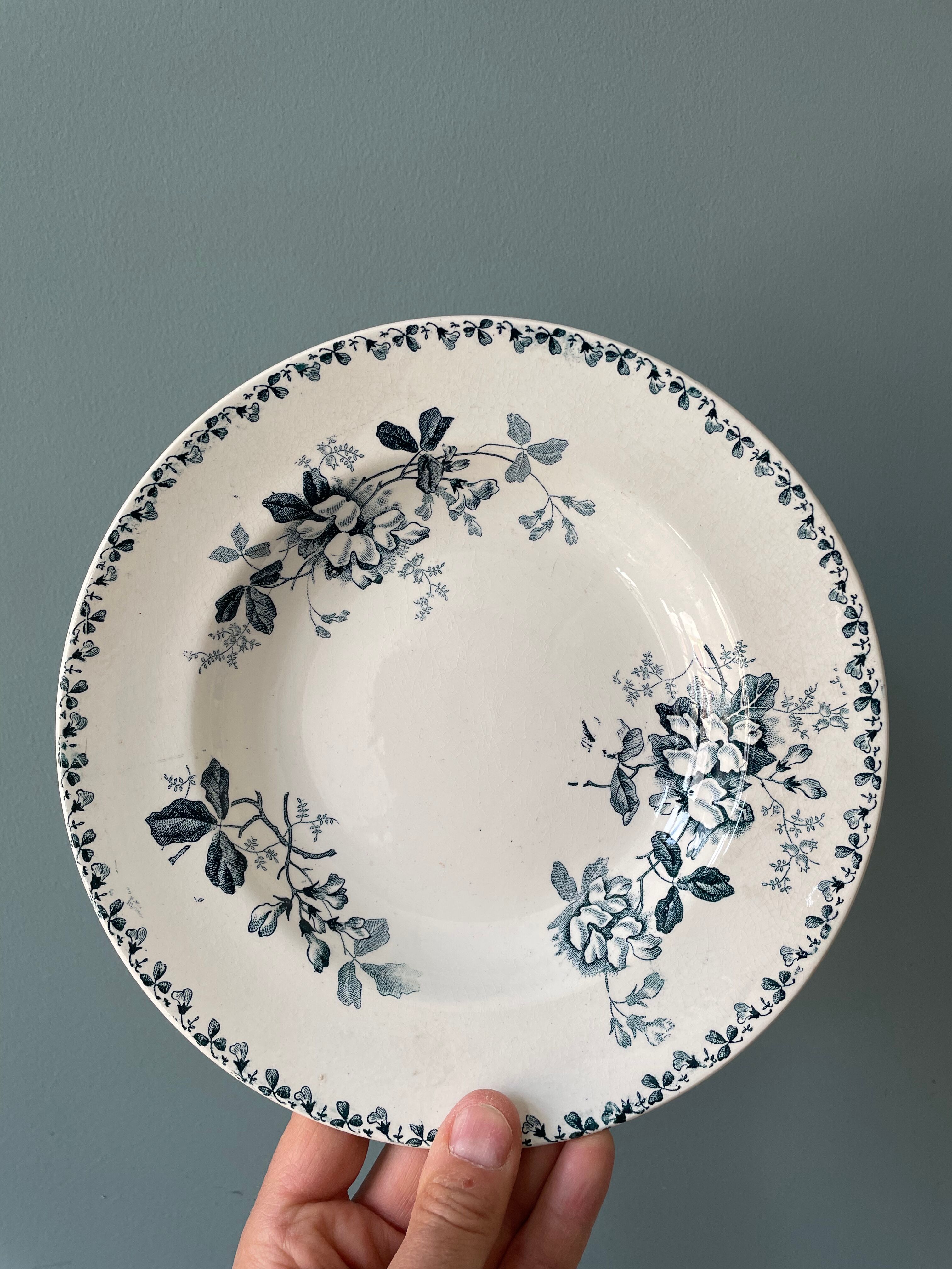Set of 7 mismatched hollow plates Terre de Fer XIXth