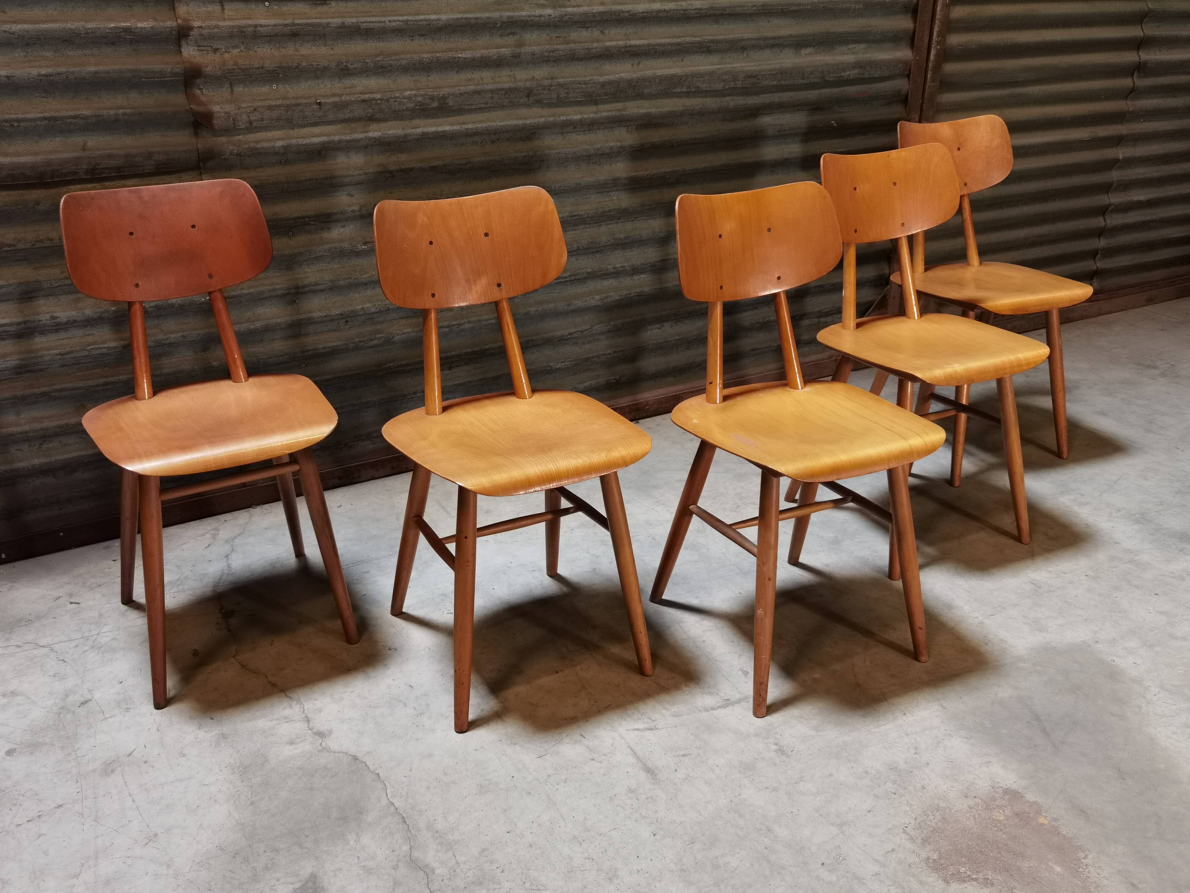 Set of 5 all-wood chairs published by Ton 1960
