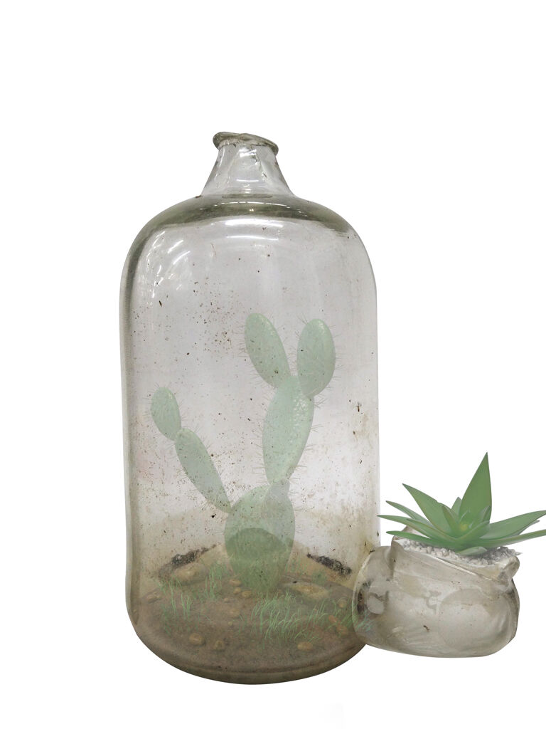 Vase Aquastop terrariu