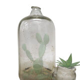 Vase Aquastop terrariu