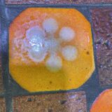 Glazed ceramic coffee table