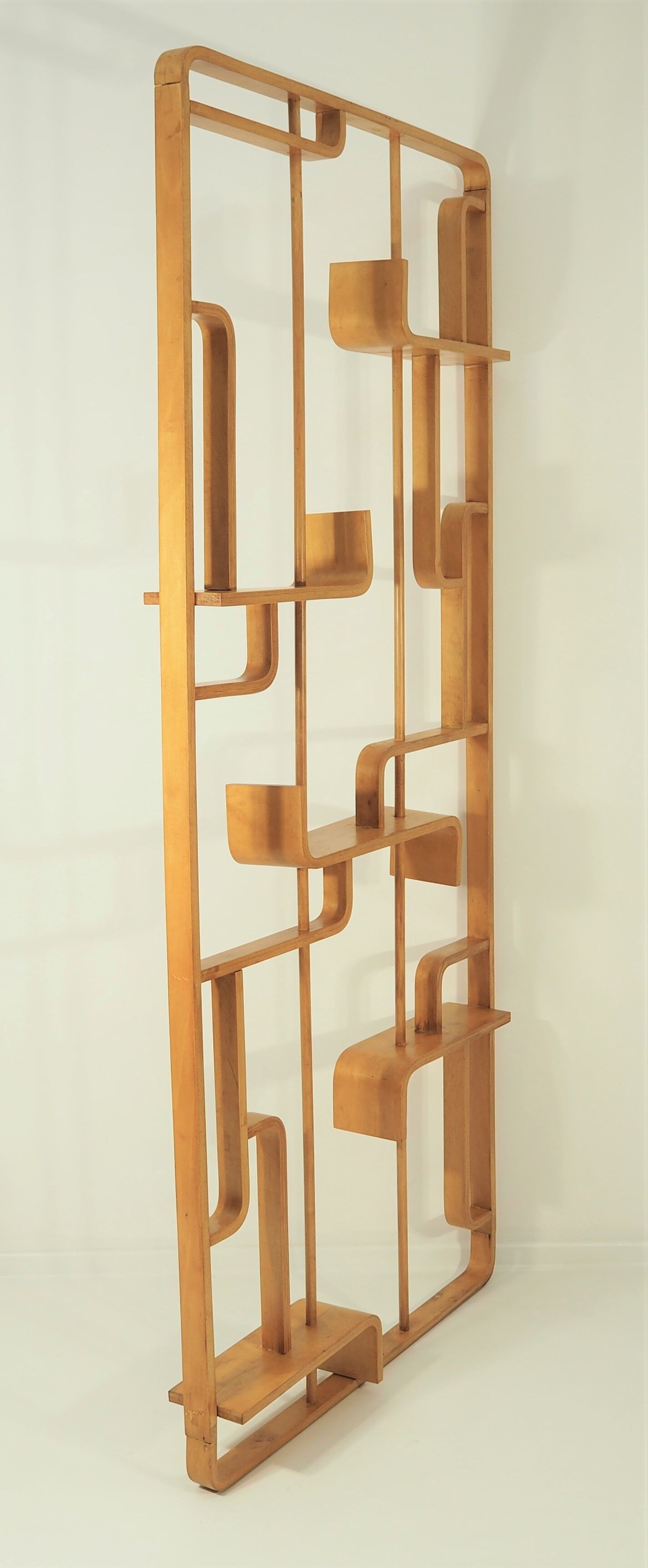 Room Divider by Ludvik Volak for Drevopodnik Holesov, 1960s