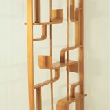 Room Divider by Ludvik Volak for Drevopodnik Holesov, 1960s