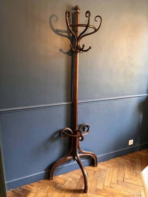 Coat rack - Thonet parrot in bent wood