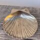 Silver-plated metal shell bowl