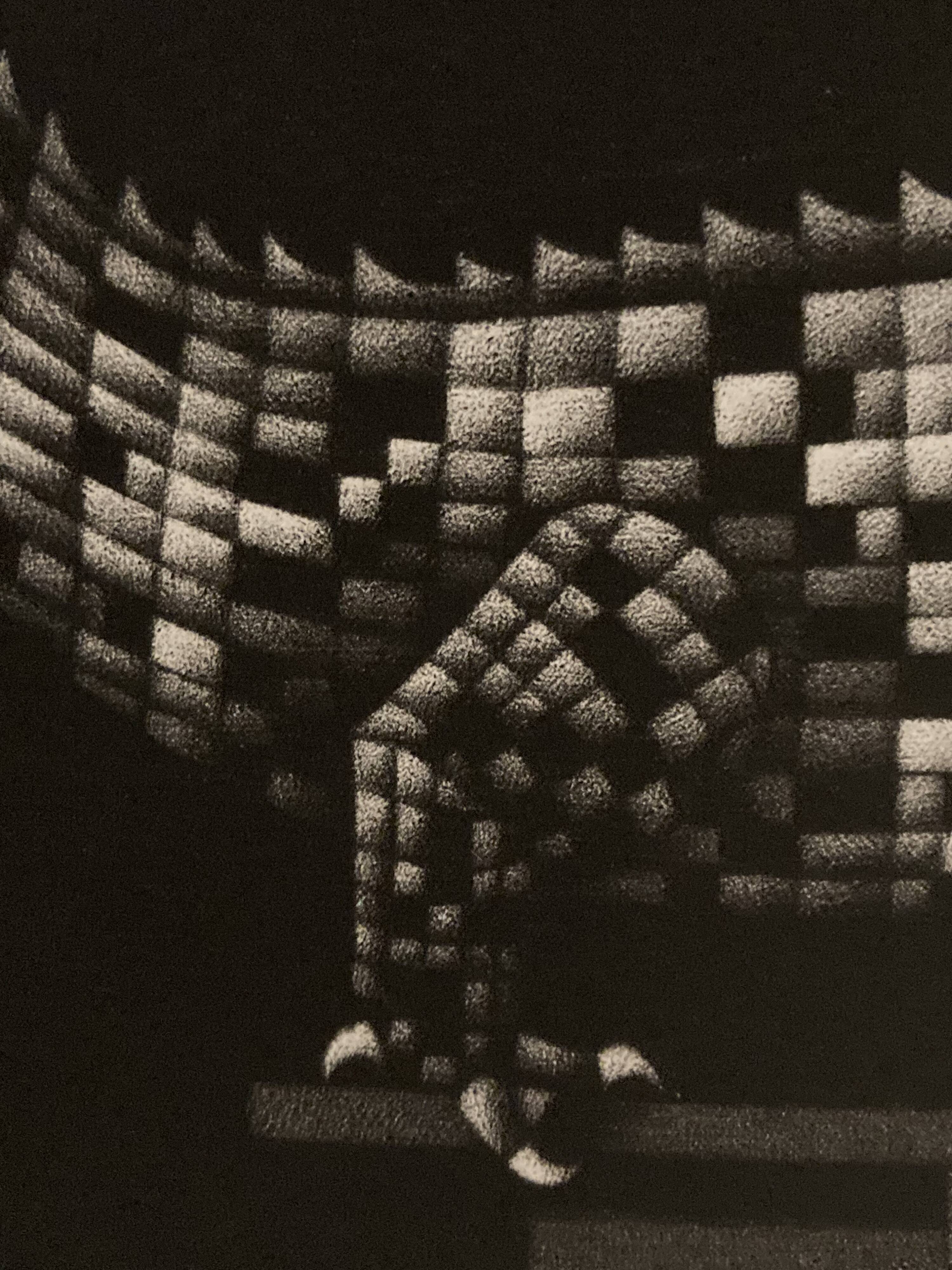 Mario avati (1921-2009), alligator, black and white, 1970