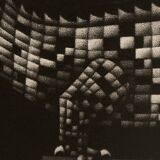 Mario avati (1921-2009), alligator, black and white, 1970