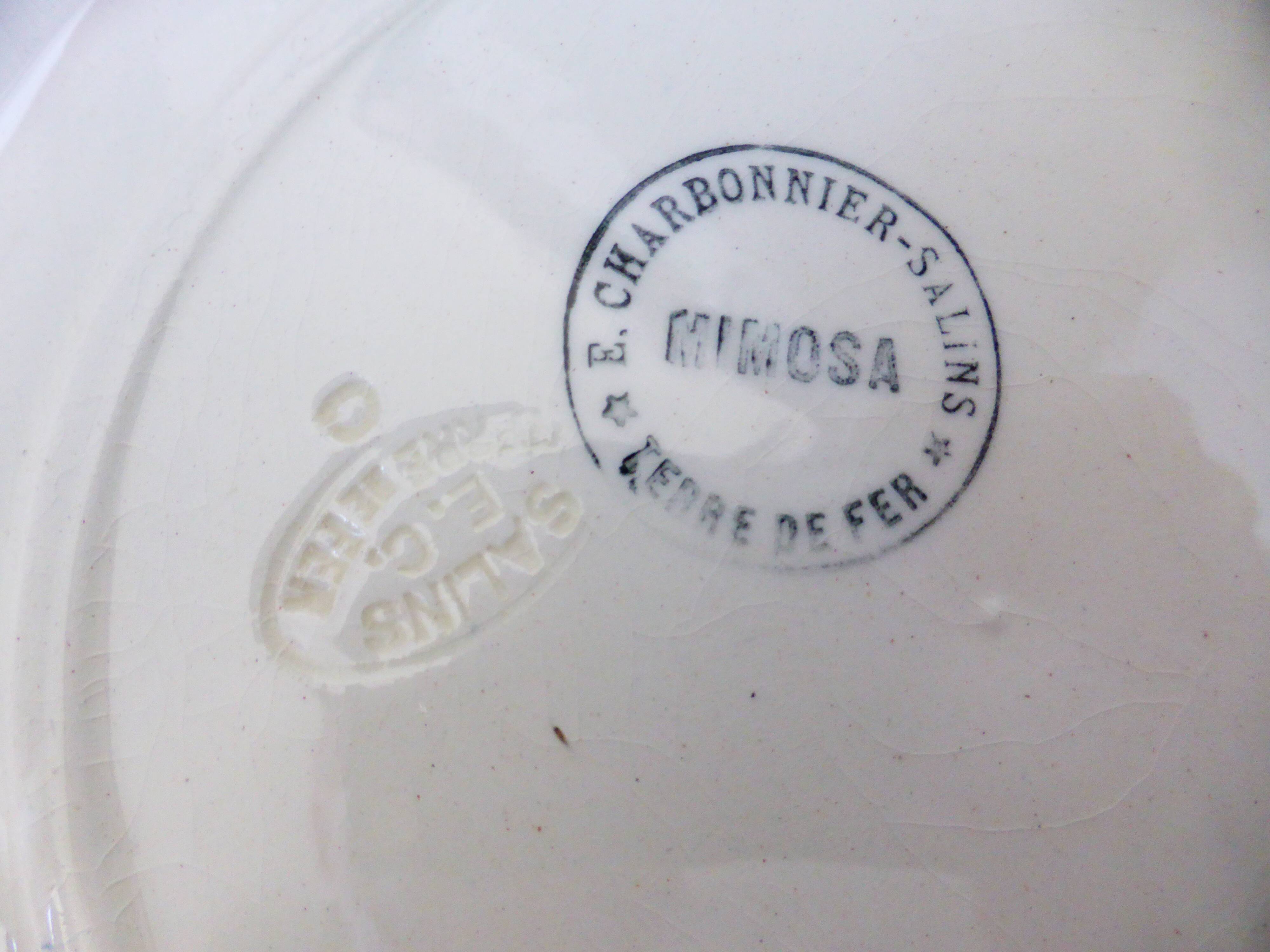 6 hollow plates in iron earth of the Salins model Mimosa 210753