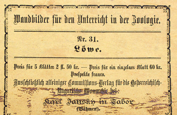 Educational poster, lion, lithograph, Karl Jansky, Böhmen, 1897