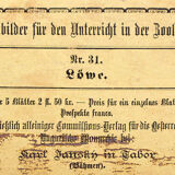 Educational poster, lion, lithograph, Karl Jansky, Böhmen, 1897