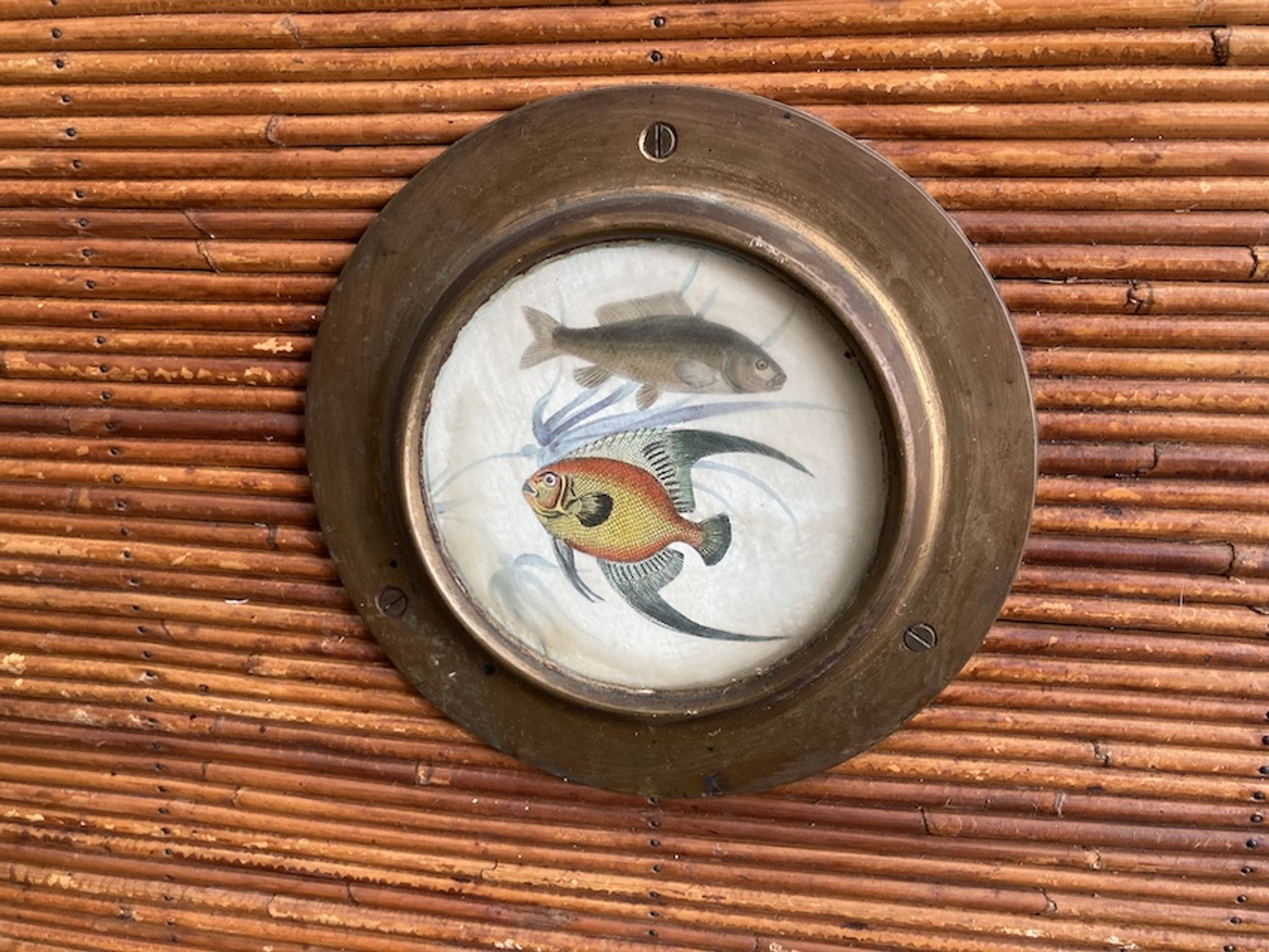 Rattan and wood bar with its decorative brass portholes