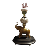 Cabinet of Curiosities composition with sea urchins and gorgon paramuricea clavata