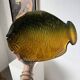 Serving plate "fish" Vallauris