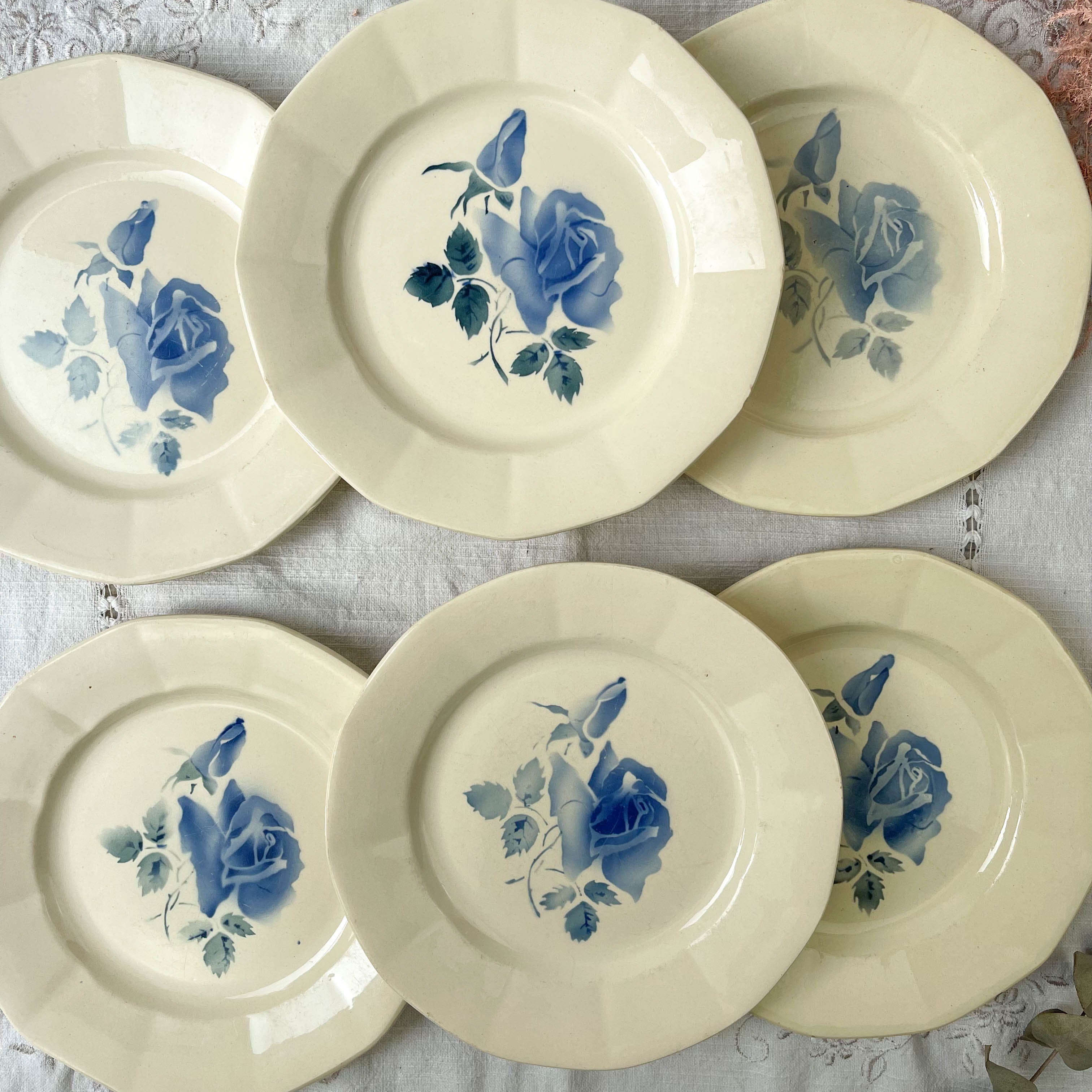 6 flat plates digoin sarreguemines model "cannes"