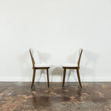Set of 6 No. 124 Chairs by Helena & Jerzy Kurmanowicz, 1960s,