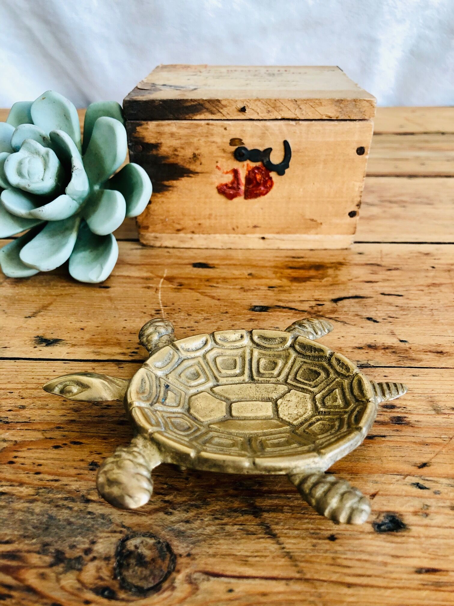 Brass turtle trinket bowl