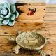 Brass turtle trinket bowl