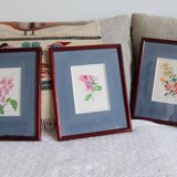 3 illustrations botaniques fleurs Claude vinçon