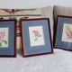 3 botanical illustrations flowers Claude vinçon