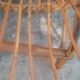 Rattan and bamboo garden furniture