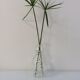 Vintage glass carafe