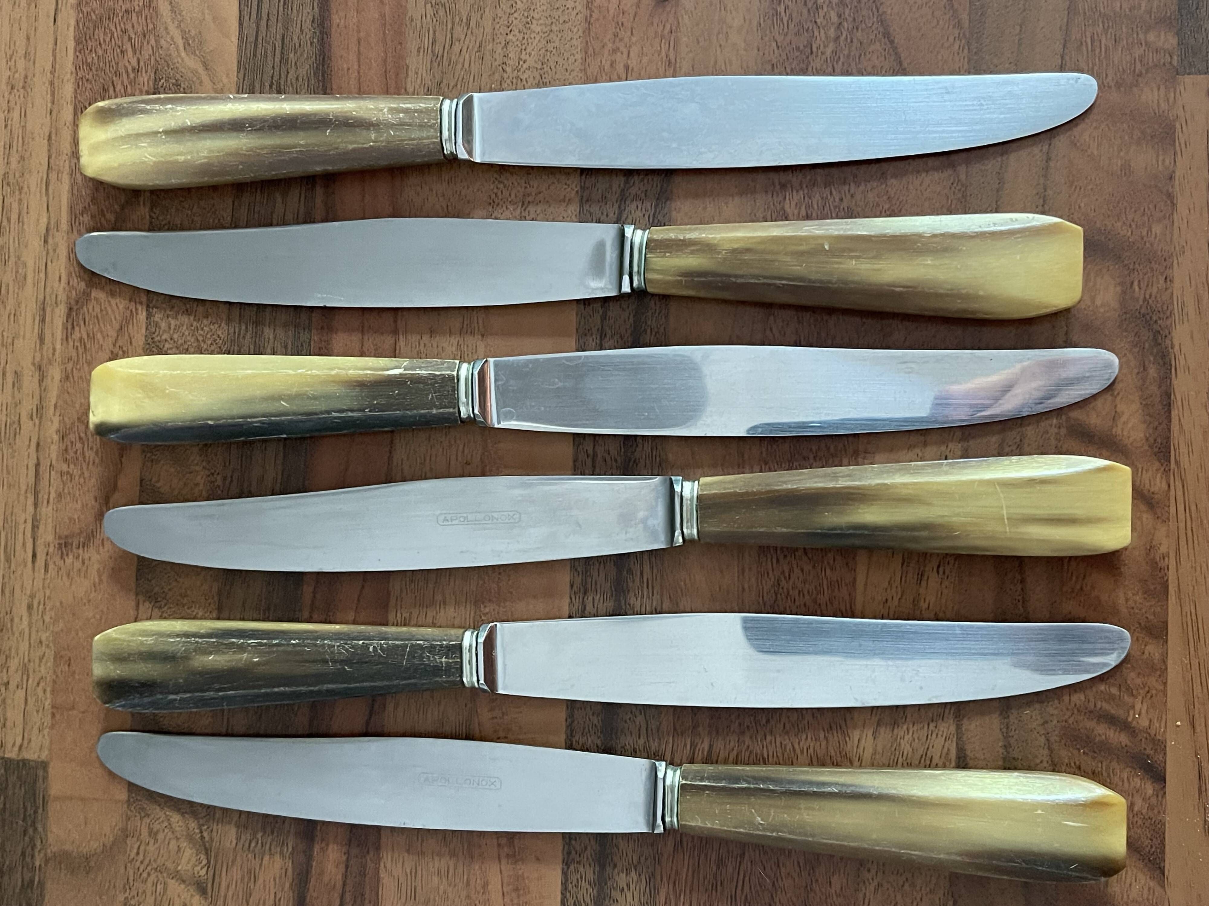 Set of 6 stainless steel knives with horn handles, Appollonox