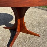 Baumann extendable table