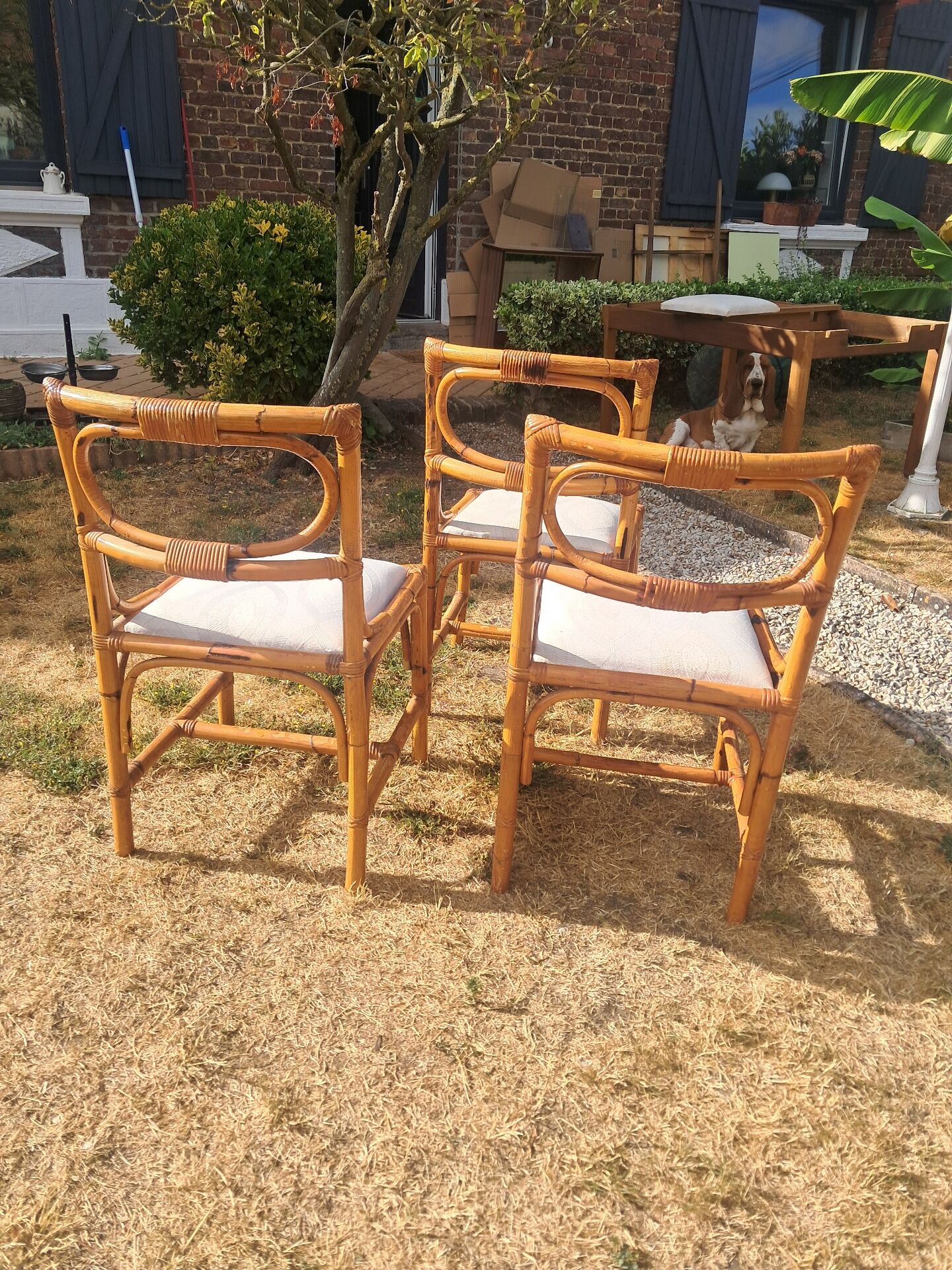 3 chaises en rotin